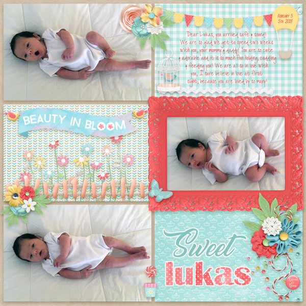 Sweet-Lukas-web