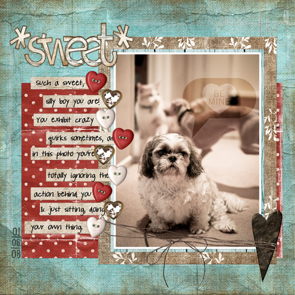 Sweet-web