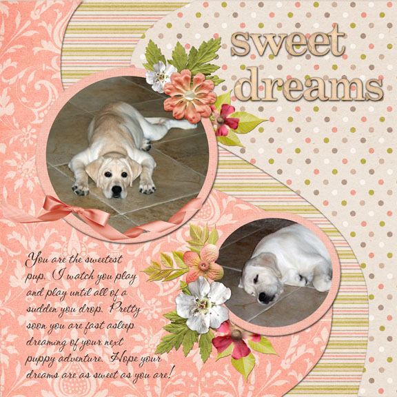 Sweet_Dreams4