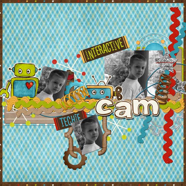 TOTMCamweb