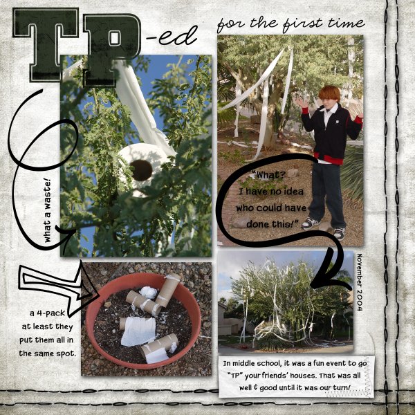 TP-ed