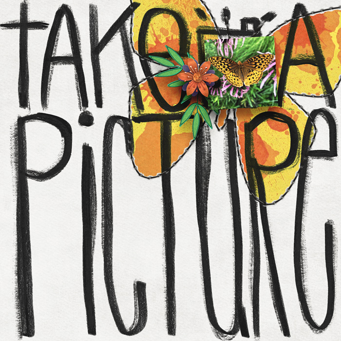 TakeAPicture1
