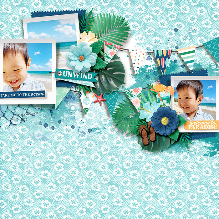 Take_Me_to_the_Ocean_700