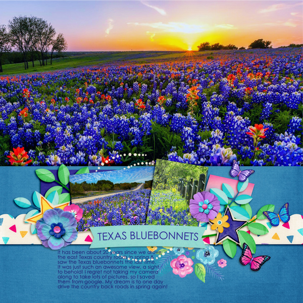 Texas-bluebonnets
