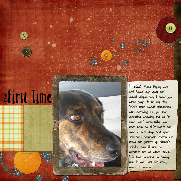 The-First-Time
