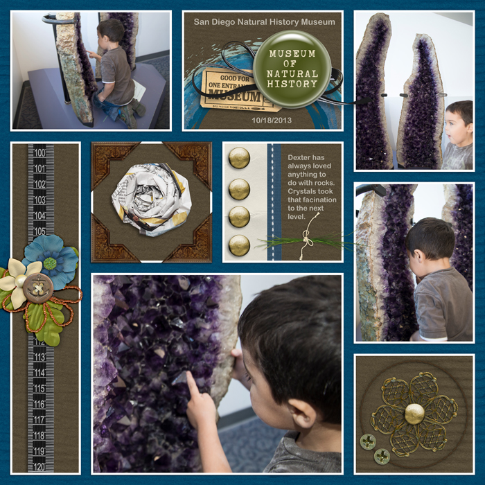 The-Museum-Bundle-2013