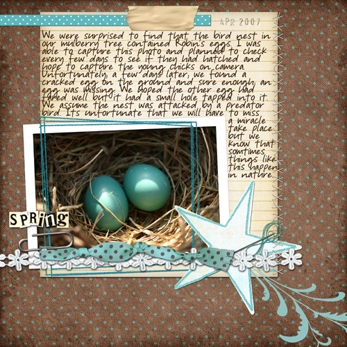 The-Robin_s-Nest