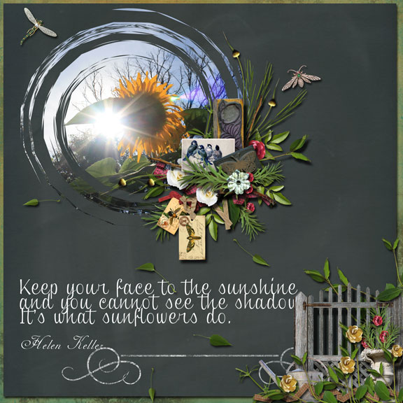 The-Sunflower_s-Shadow