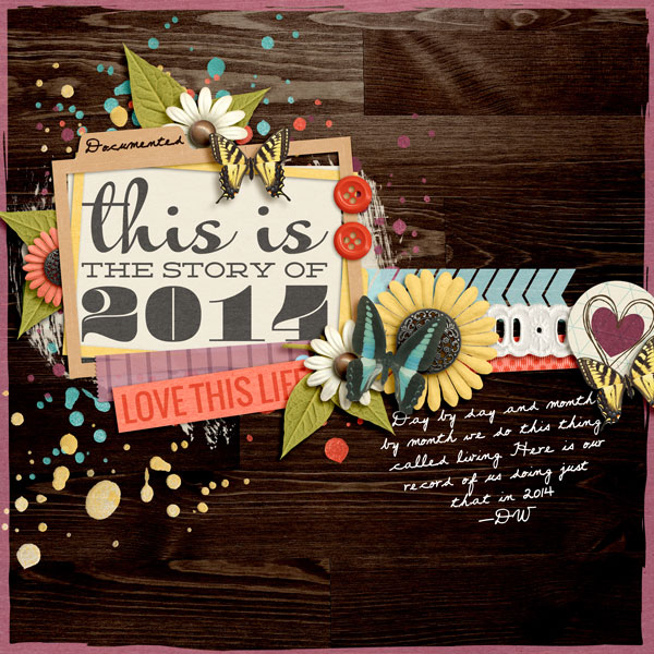 The_Story_of_2014
