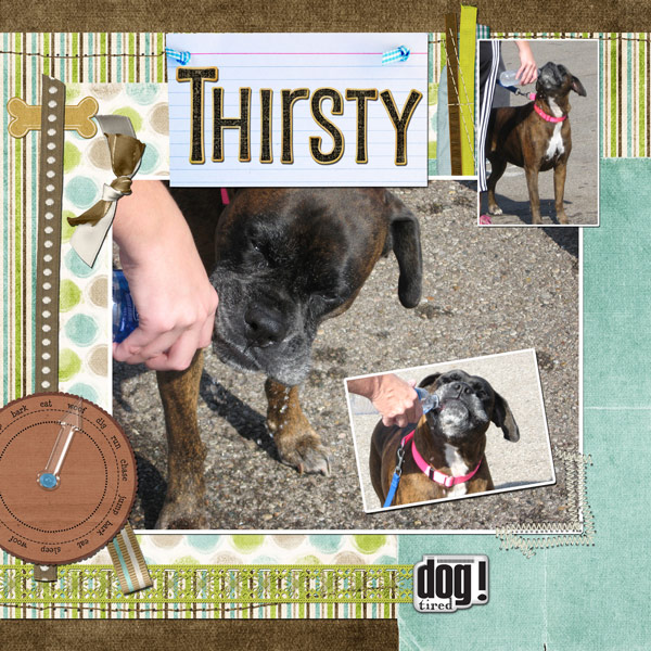 Thirsty-Dog