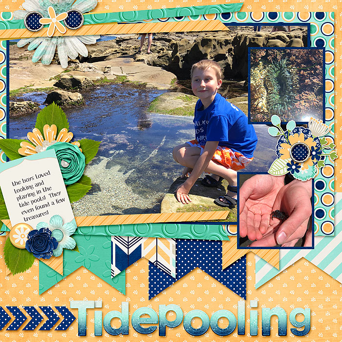 Tidepooling_jencdesigns-storymylife-vl5_700