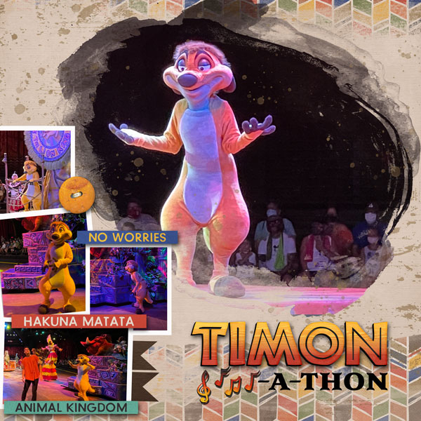 Timon-a-thon