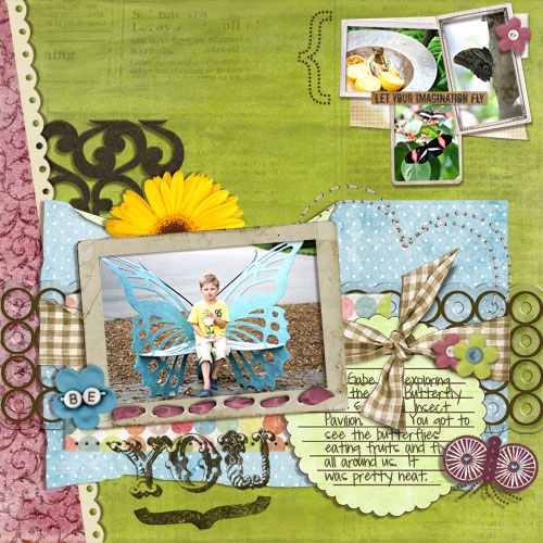 TnT_butterfly