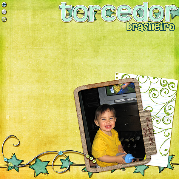 Torcedor-brasileiro-gallery