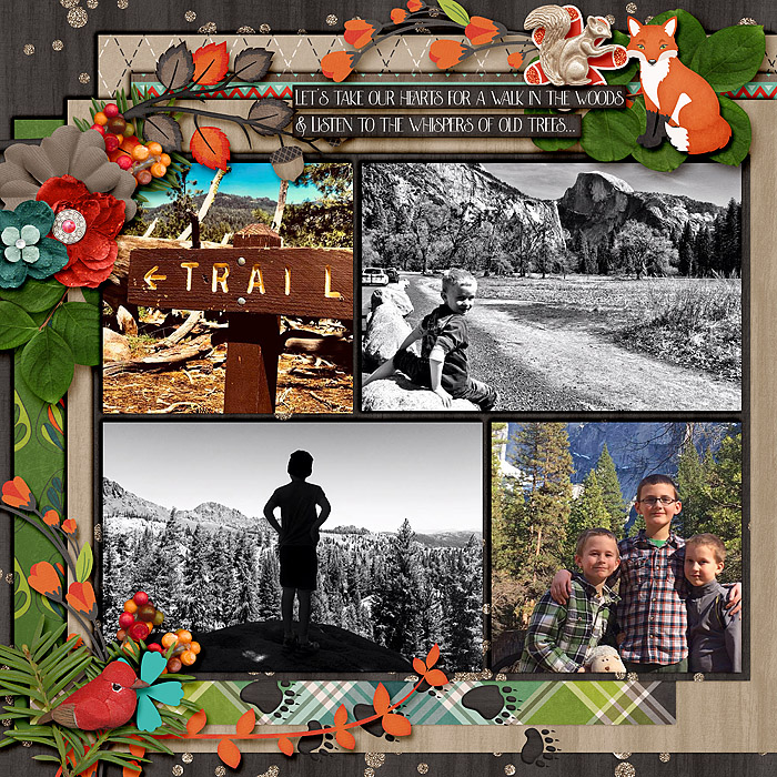 Trail_7001