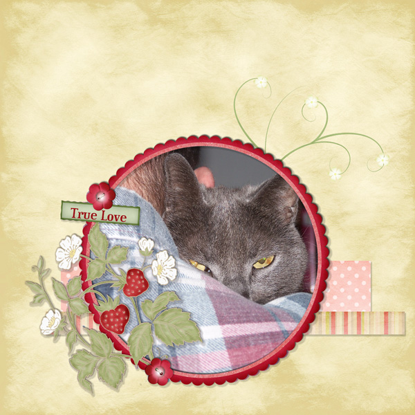 TrueLove-web