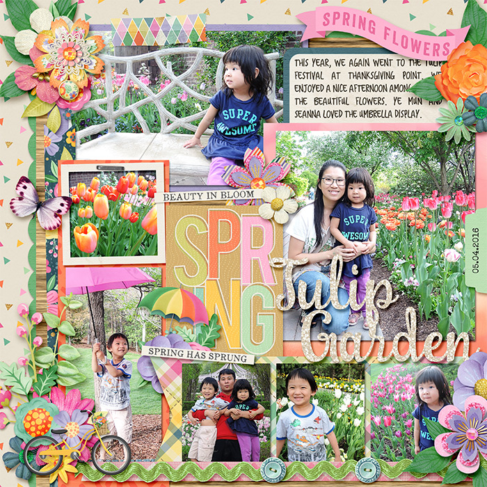Tulip-Garden