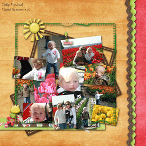 TulipFestival---Copy