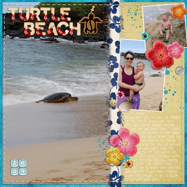 Turtle-Beach-600