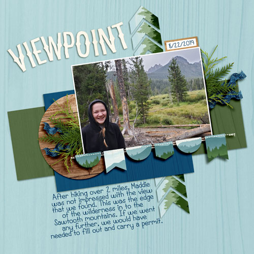 Viewpoint1