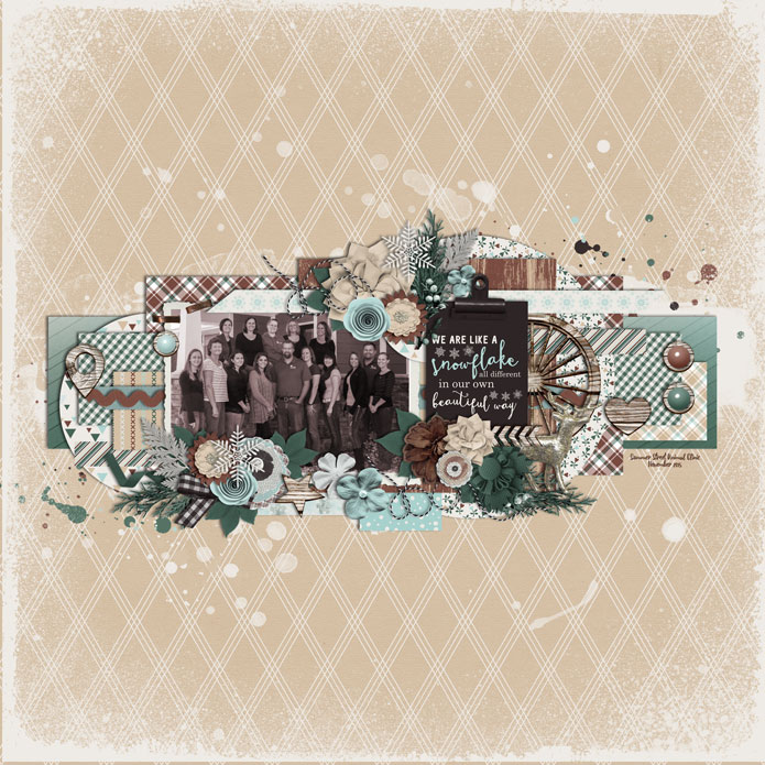WEB-_November-2015_SSAC-XmasPic_Tinci_MPCE1-ayi_rusticwinter