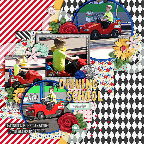 WEB_1-17-15_DrivingSchool-megsc_FallV3-sc-downtherabbithole