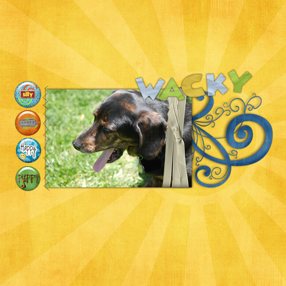 Wacky-Silly-Crazy-Happy-Pup