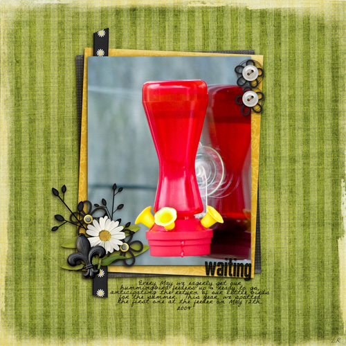 Waiting-for-Our-Hummingbirds-May-2009-Gallery-LR