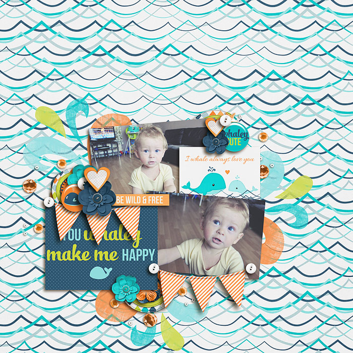 WhaleyCuteSSDSB700