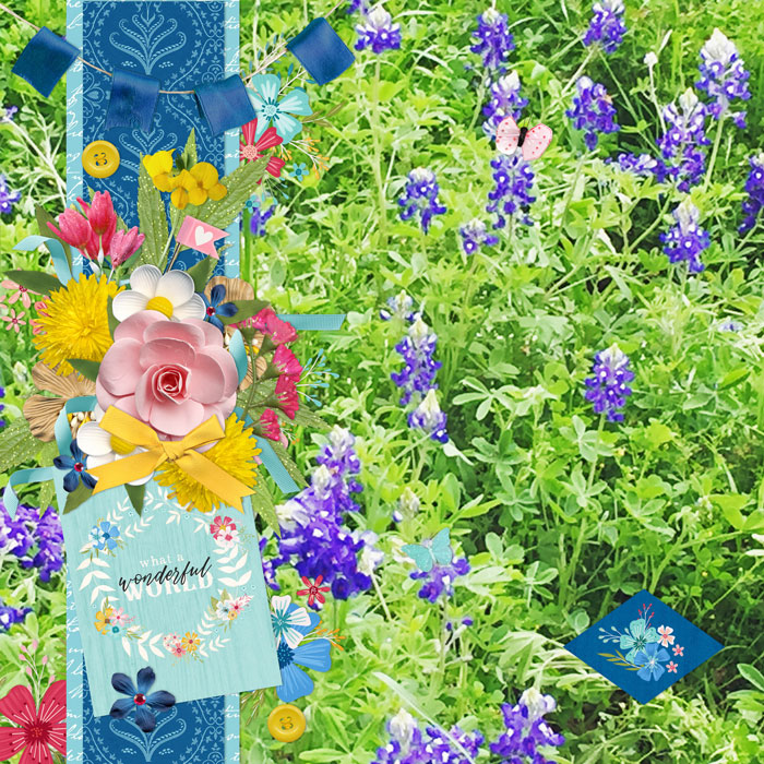 What-a-Wonderful-World-March-2019