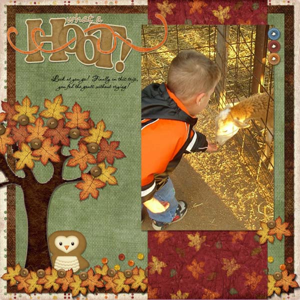 What_a_Hoot_600