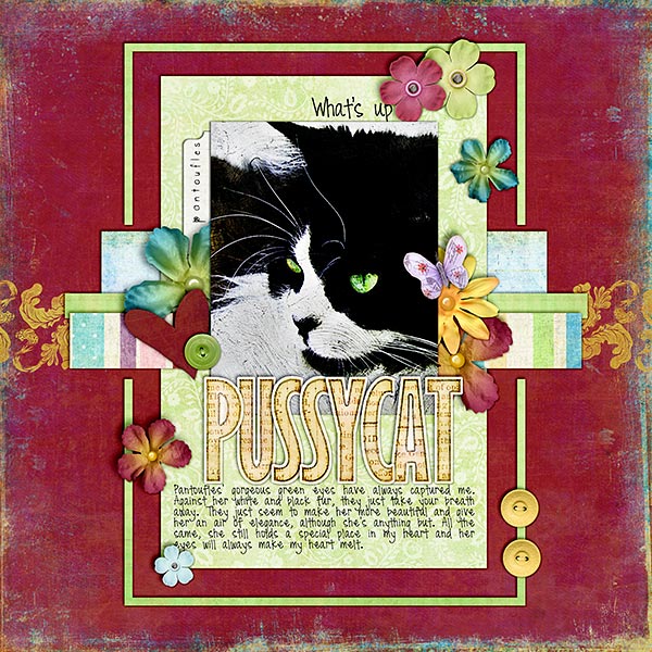 WhatsUpPussycat