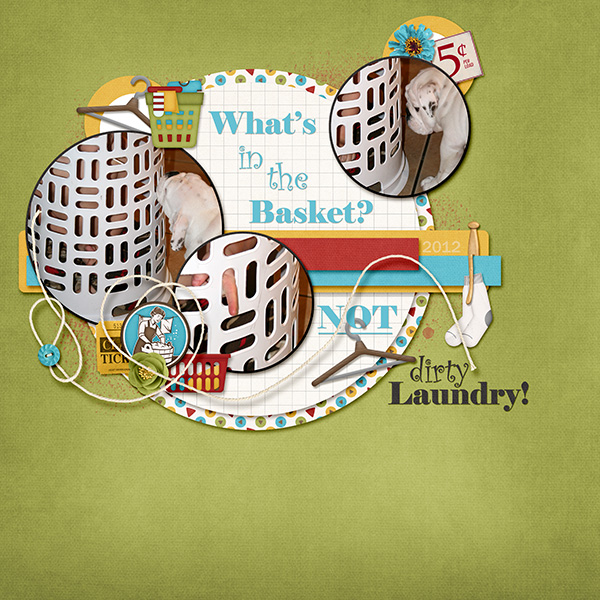 Whats_in_the_basket