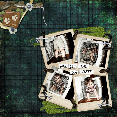 WhoLetTheDogOut