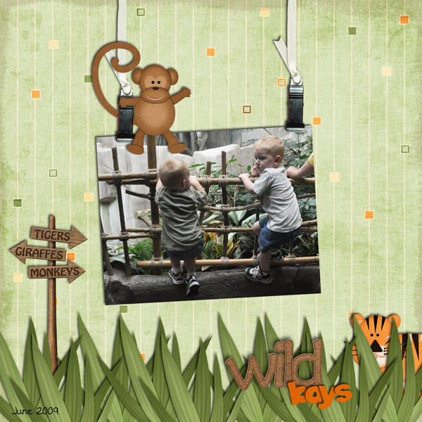 Wild-Boys