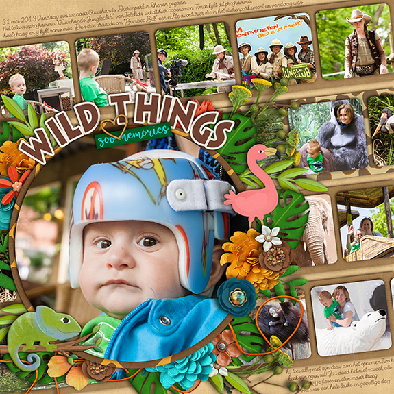 Wild-things1