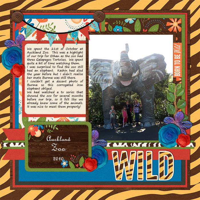 Wild6
