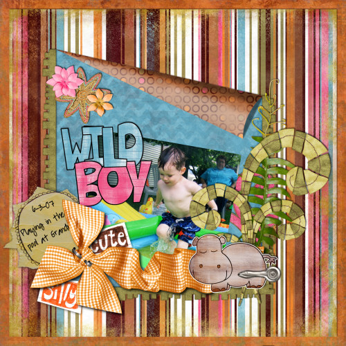 WildBoy