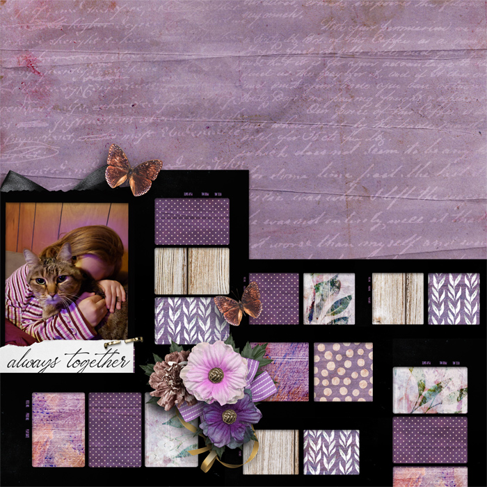 Wild_Fearless_