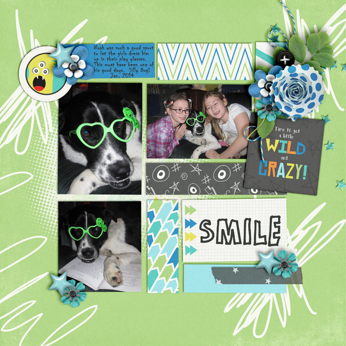 Wild_and_Crazy_Noah_Jan2014_smaller