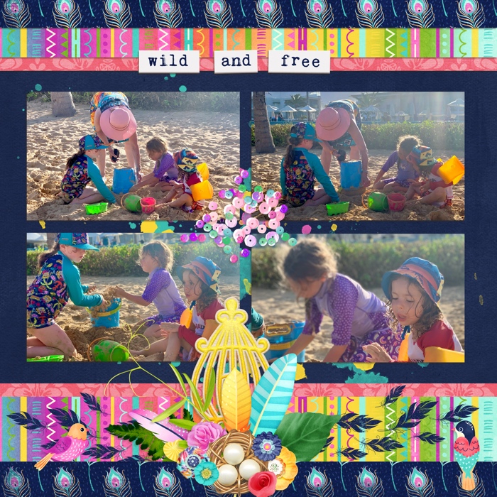 Wild_and_free2
