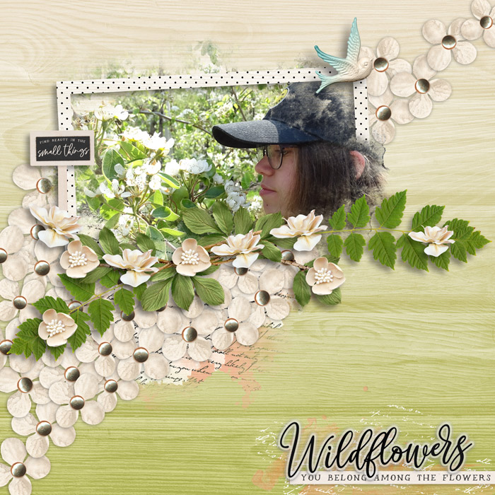 Wildflowersweb