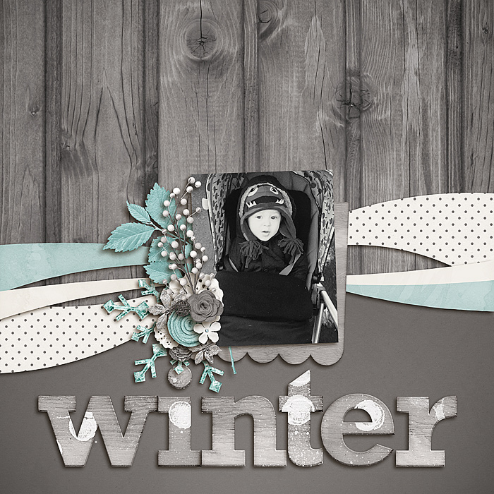 Winter-7001
