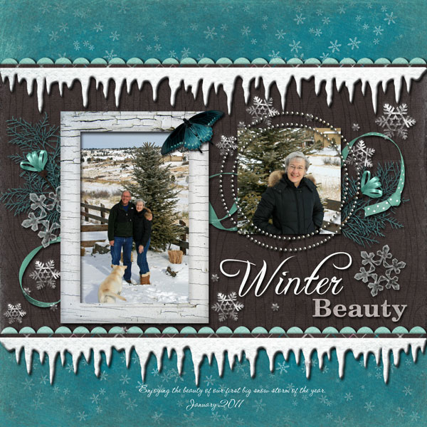 Winter-Beauty1