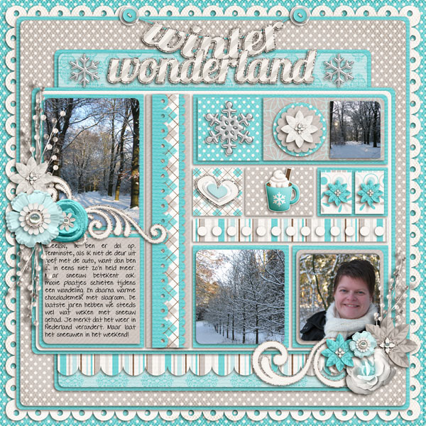 Winterwonderland-web