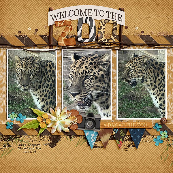 Zoo2019_web