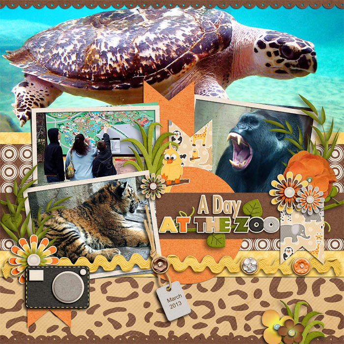 a_day_at_the_zoo3