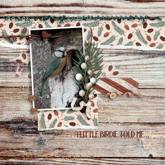 a_little_birdie_told_me