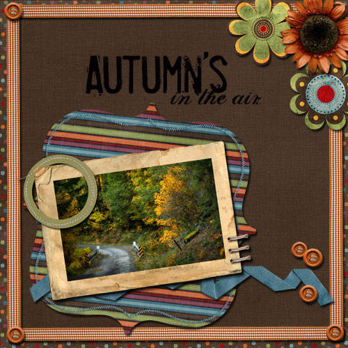 aheimann-autumnpop-solid1LO