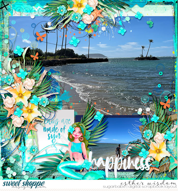 alchemywildstudio_kickstarterssummer22-1_psd_babe